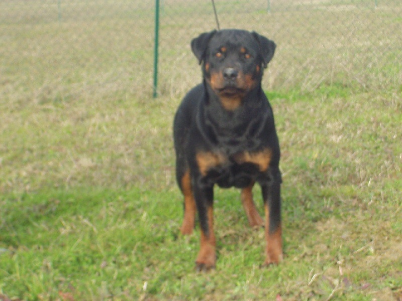 Sun vom tequilla kaas