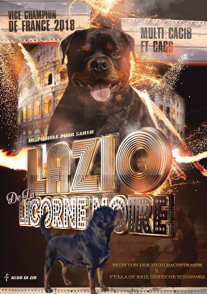 Ch. lazio de la licorne noire