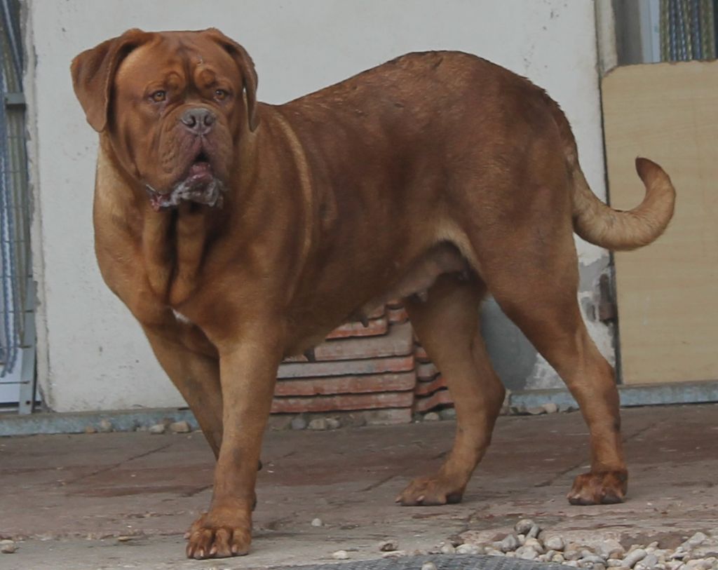 Margaux de Saint Armangel